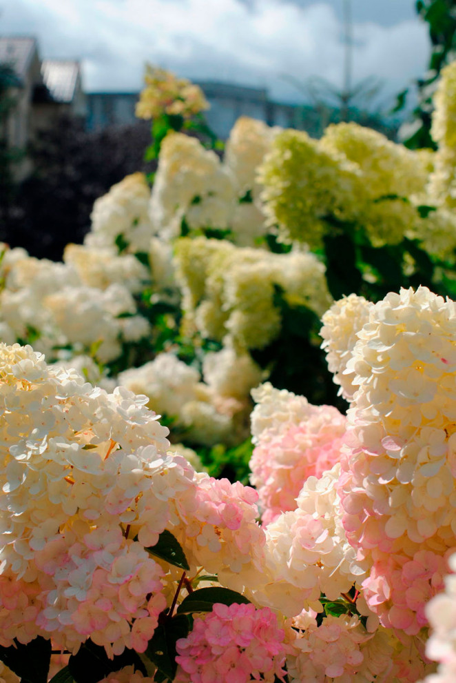 Нижегородский дворик