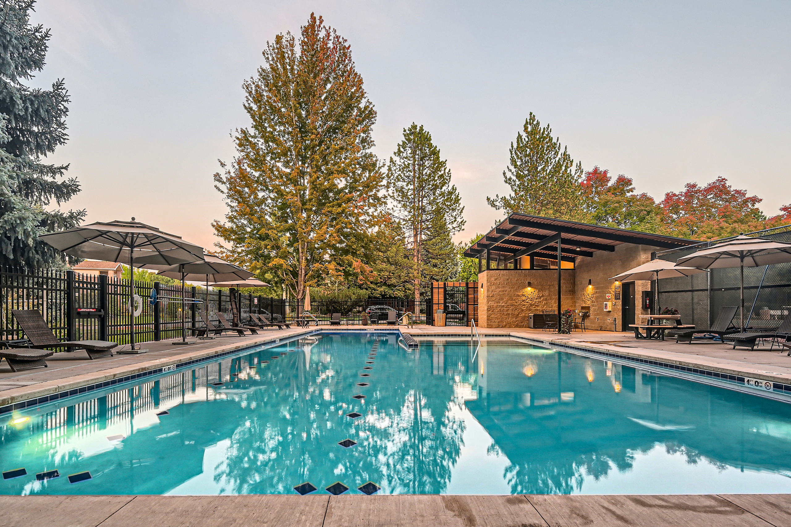 Reserve HOA Pool - Commercial