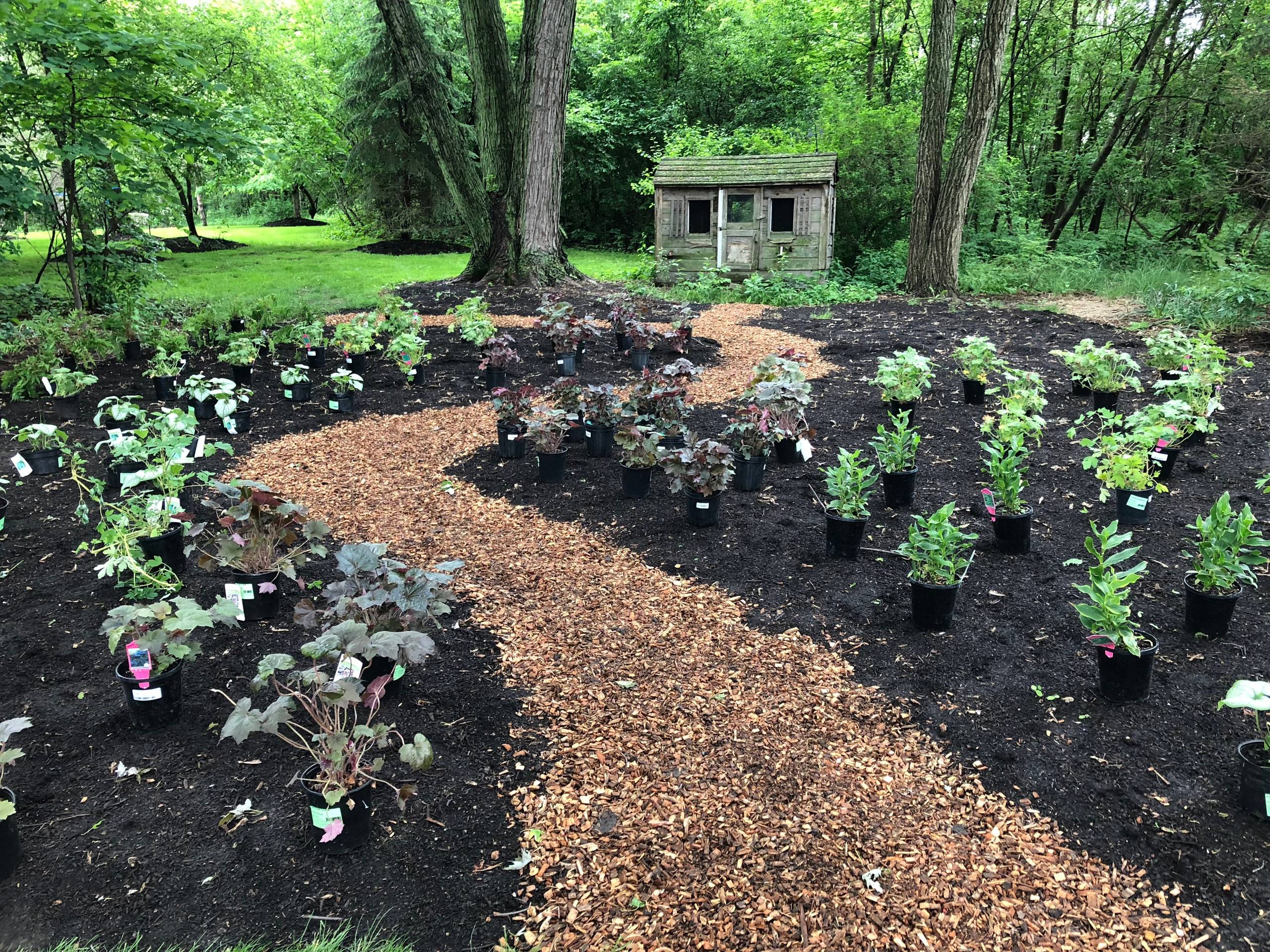 Shade Garden