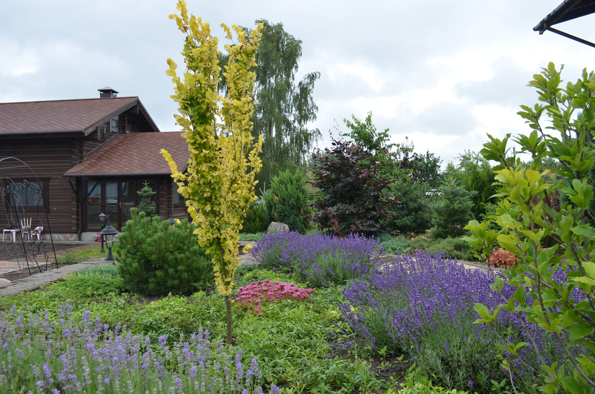 Сад "Ароматы Прованса"