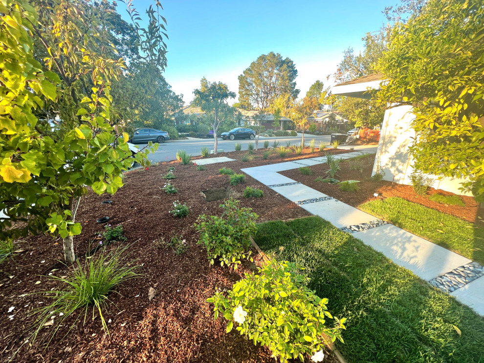 Photo of a large contemporary side xeriscape partial sun garden in San Francisco with concrete paving.
