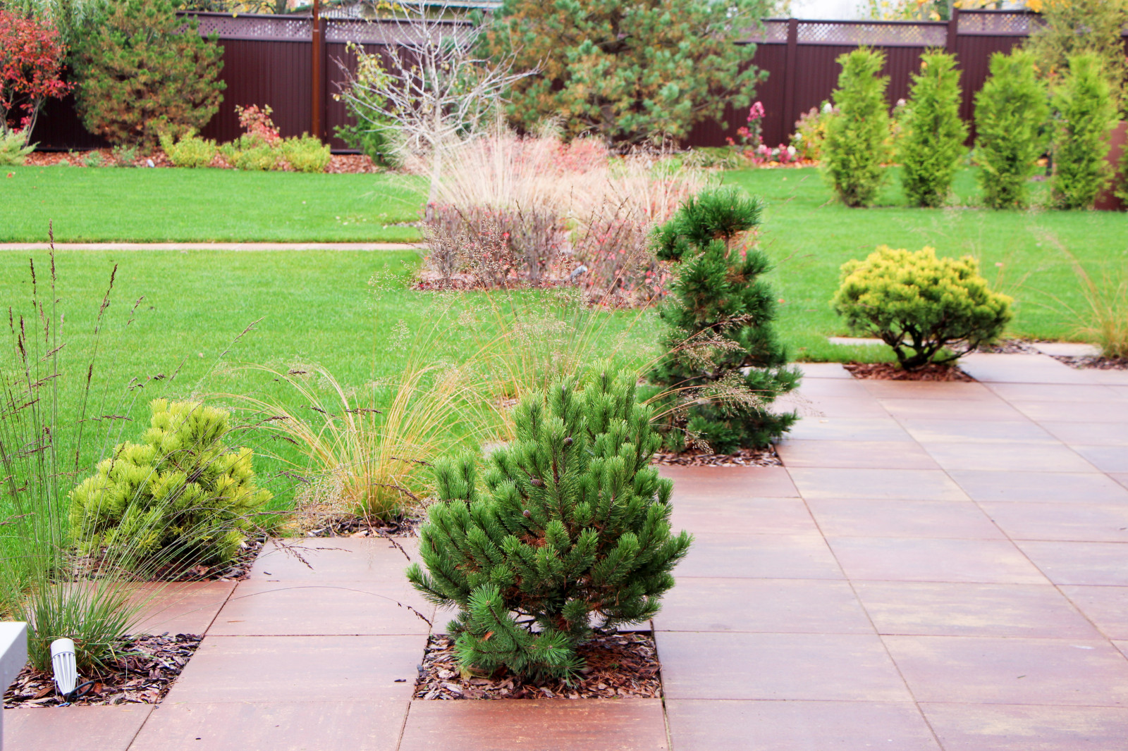 Петровское, 2018-2020 гг.