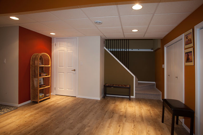 Photo of a mid-sized traditional look-out basement in Other with multi-coloured walls and light hardwood floors.