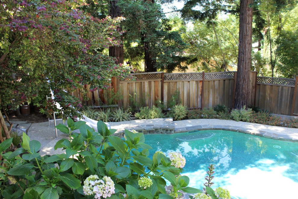 Los Gatos Poolside