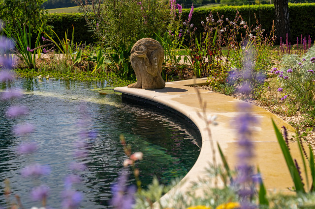 Marlow Natural Pool contemporary-pools-and-hot-tubs