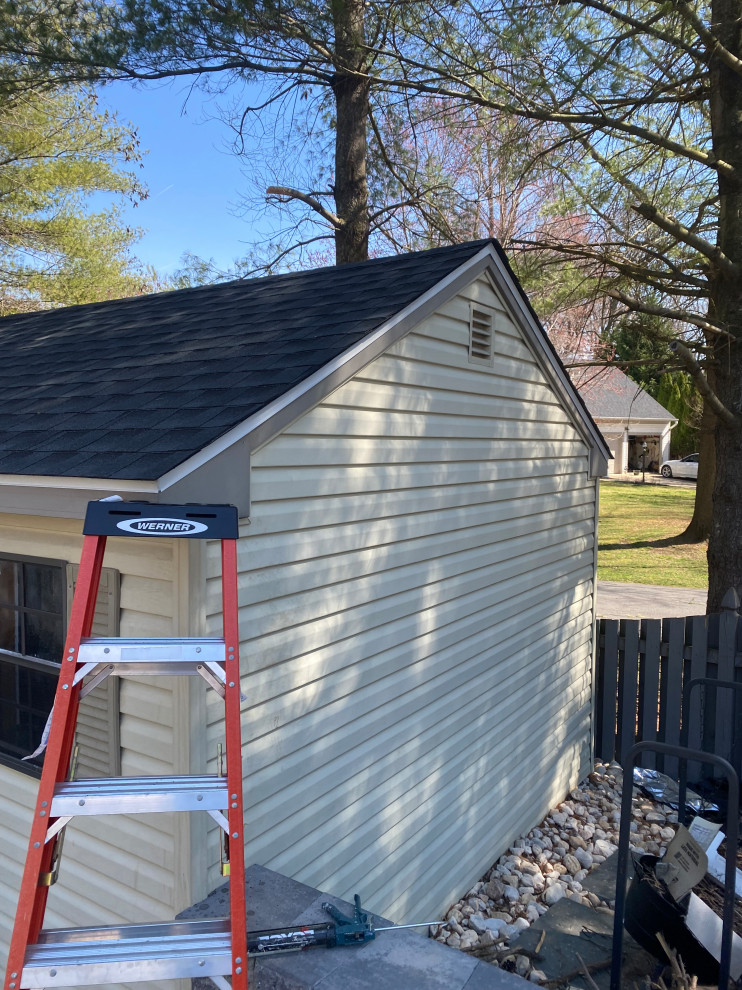 Shed Roof Repair