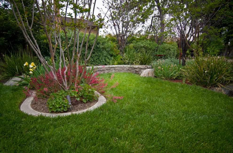 Стильный дизайн: большой солнечный, весенний засухоустойчивый сад на заднем дворе в стиле фьюжн с газонным бордюром, хорошей освещенностью, мульчированием и с деревянным забором - последний тренд