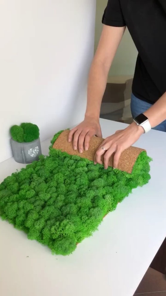 42f01c00c5c24837b14fe4855fba4aa4.mov