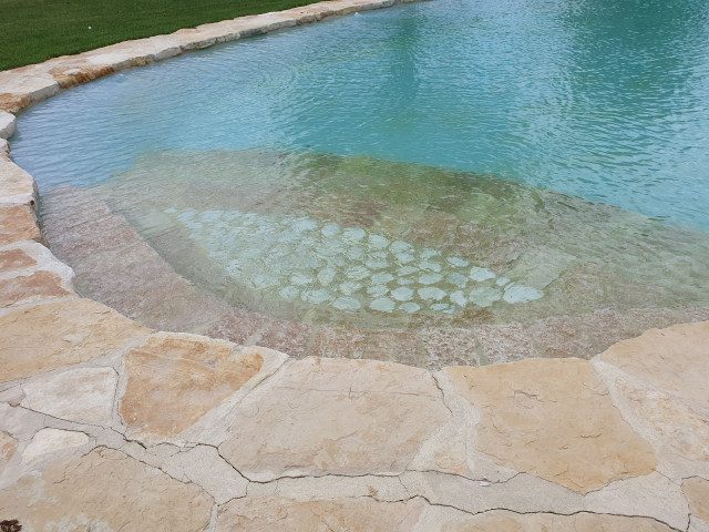 Natural swimming pool rustikt-pool