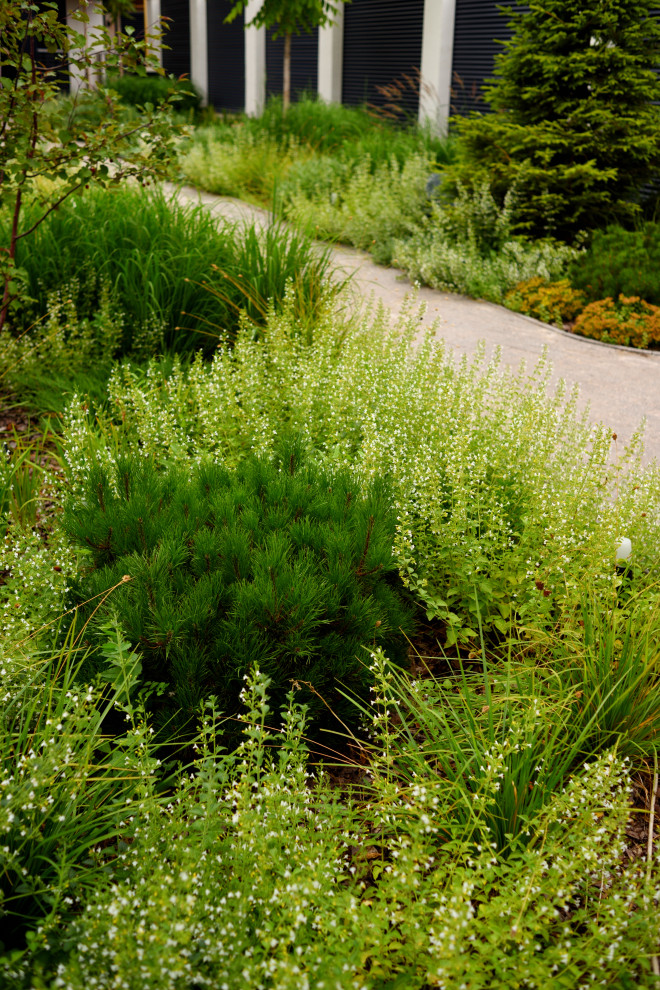 Сад с видом на Волгу