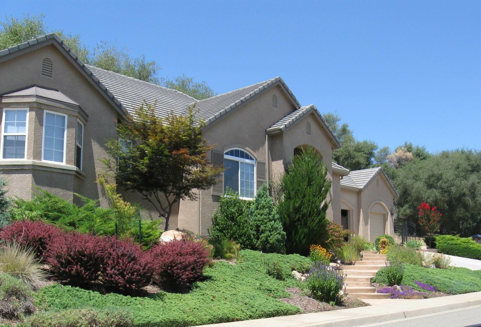 Drought Tolerant, Cold Hardy and Low Maintenance Front Yard