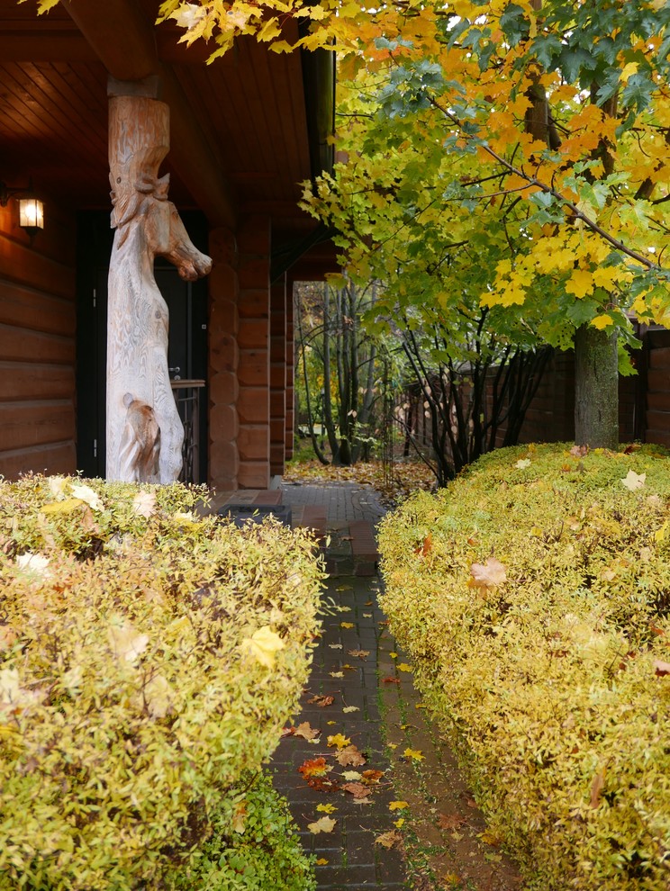 Буйство красочных форм в осеннем саду