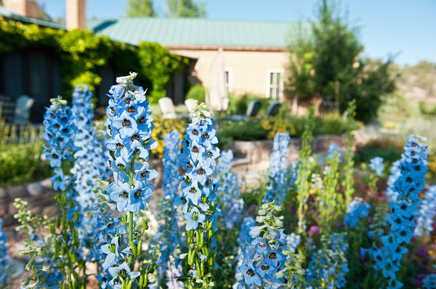 This is an example of a large drought-tolerant and partial sun backyard stone landscaping.