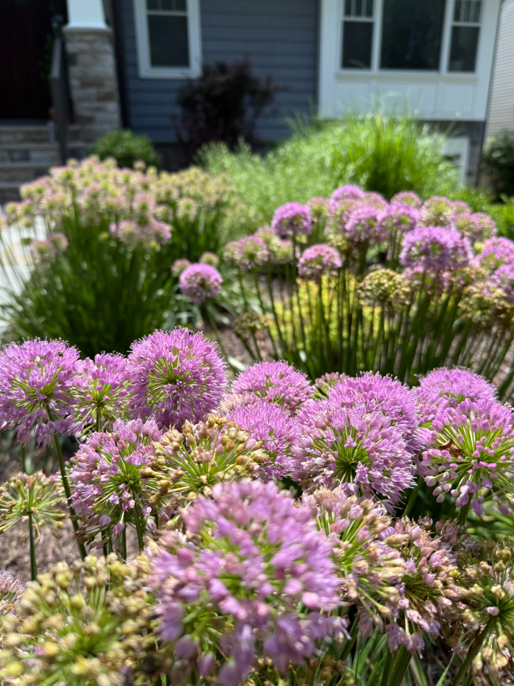 Planting Design