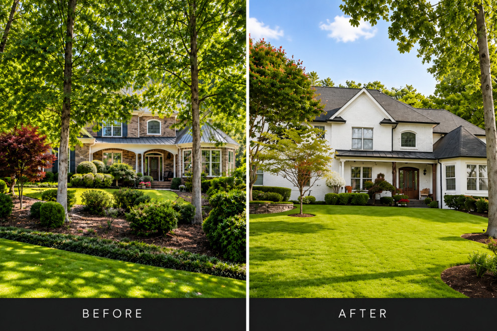 Bovenzi Remodeling