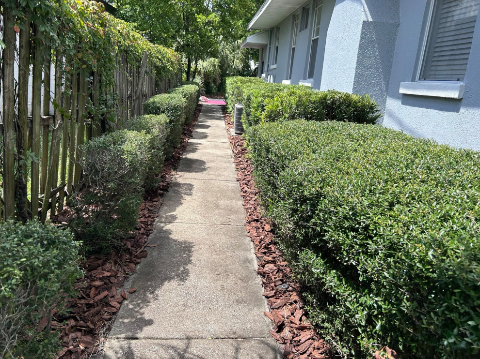 Law Office Landscape Revamp and Design