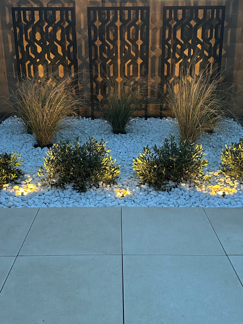 Phoenix in Vouge Contemporary Design and Installation contemporary-garden
