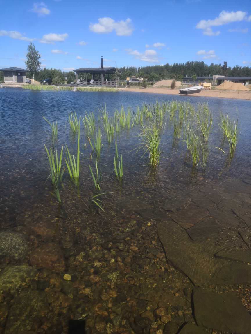 Декоративный водоём в п. Репино (Лен. обл.)