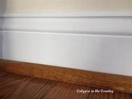 Painted or stained shoe molding for hardwoods?