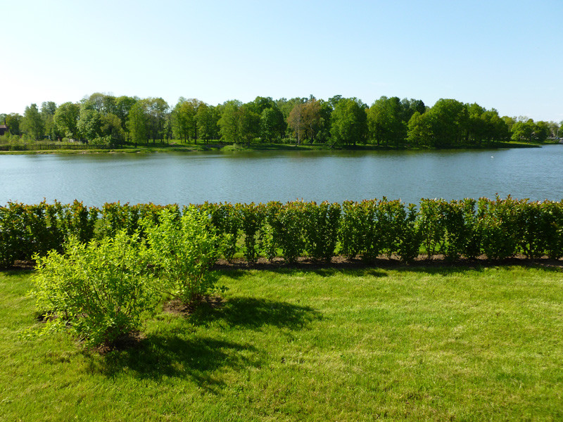 Озеленение