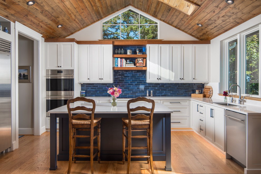 Kitchen - transitional kitchen idea