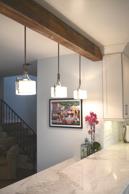 Home design - transitional home design idea in Los Angeles