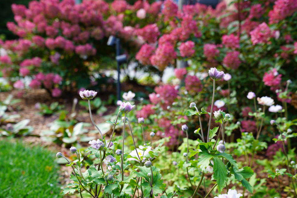 Круговорот  цвета. Дубровка 2021