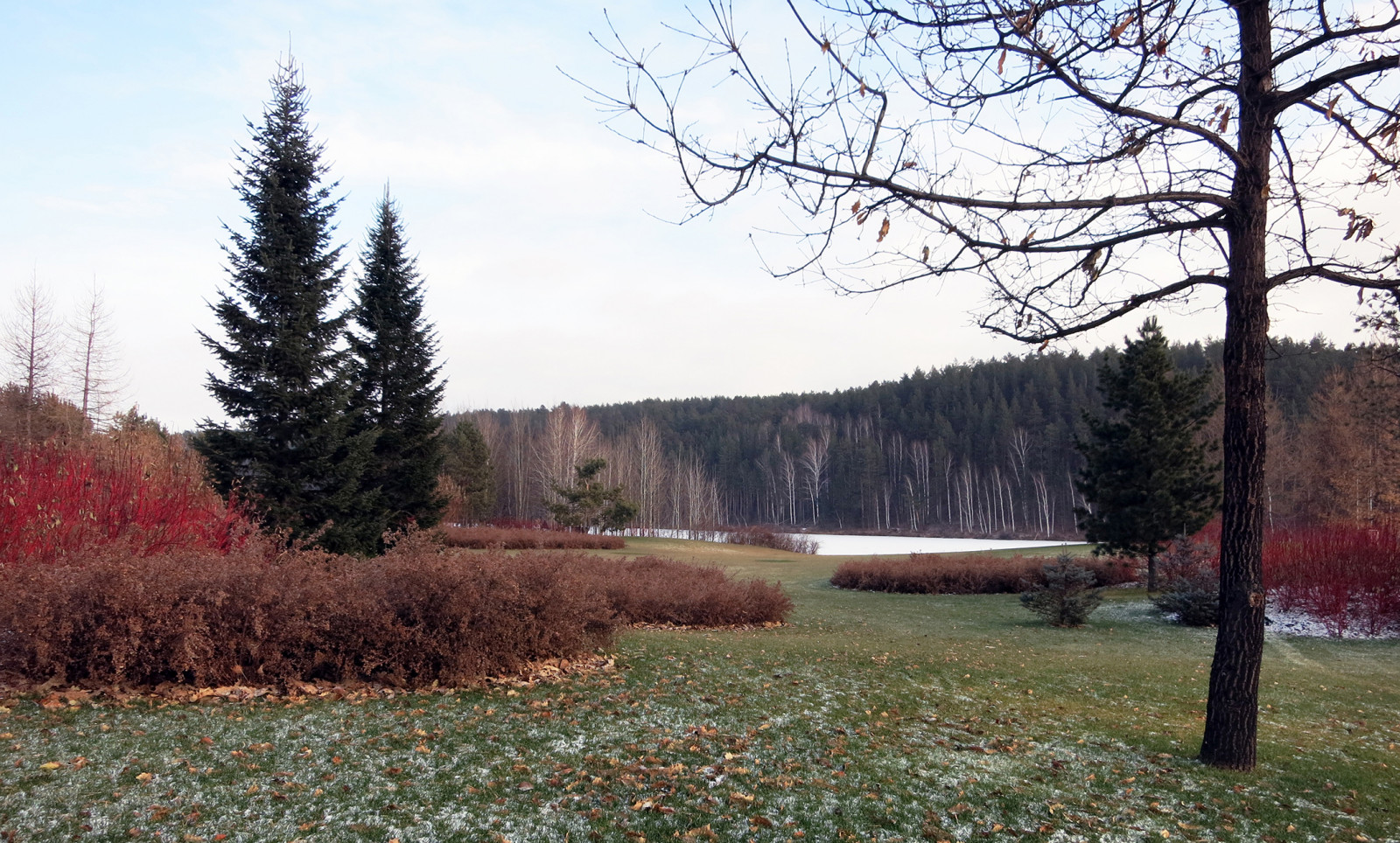 Новый пейзаж