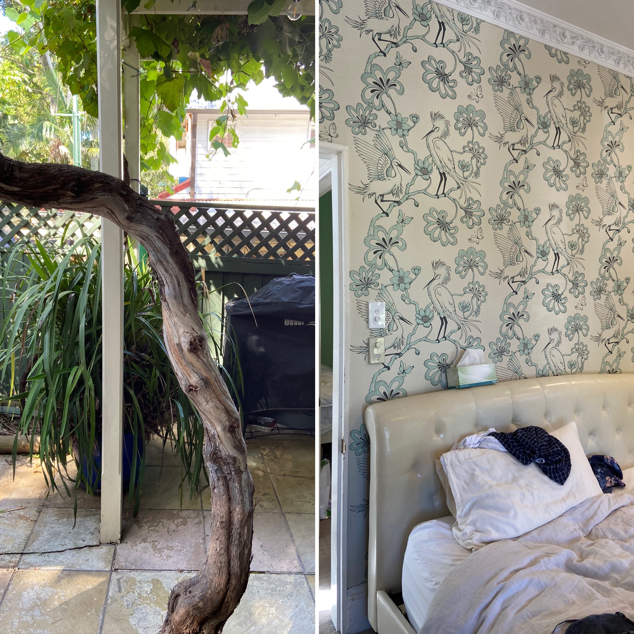RESTORATION OF A HISTORIC BALMAIN HOME