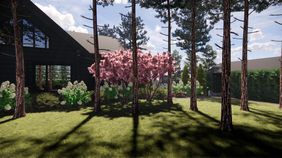 Вид на дом и навес