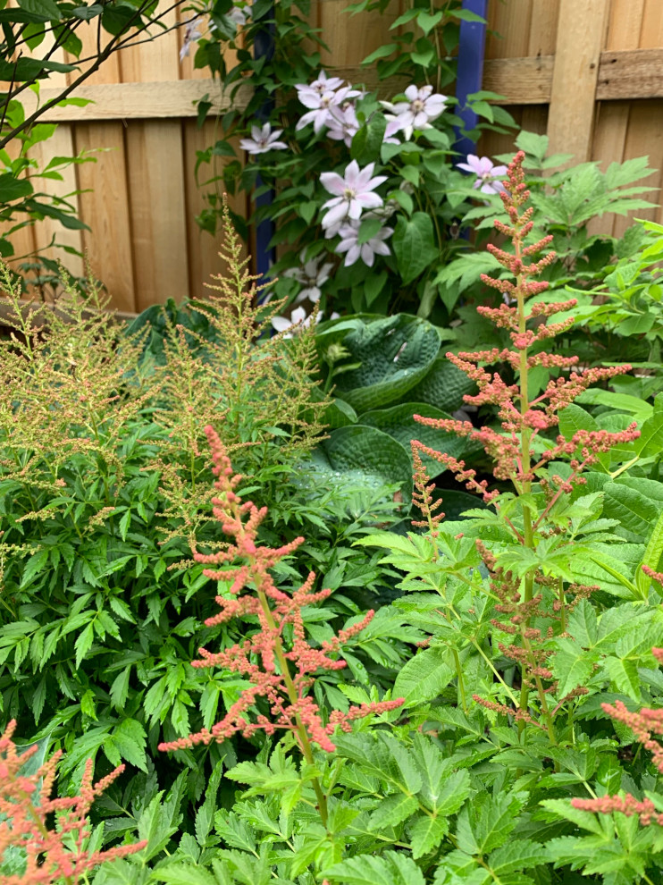 Saint Paul Tudor Garden