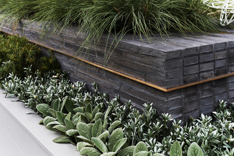 Inspiration for a small contemporary courtyard garden in Other with a retaining wall.