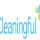 Cleaningful