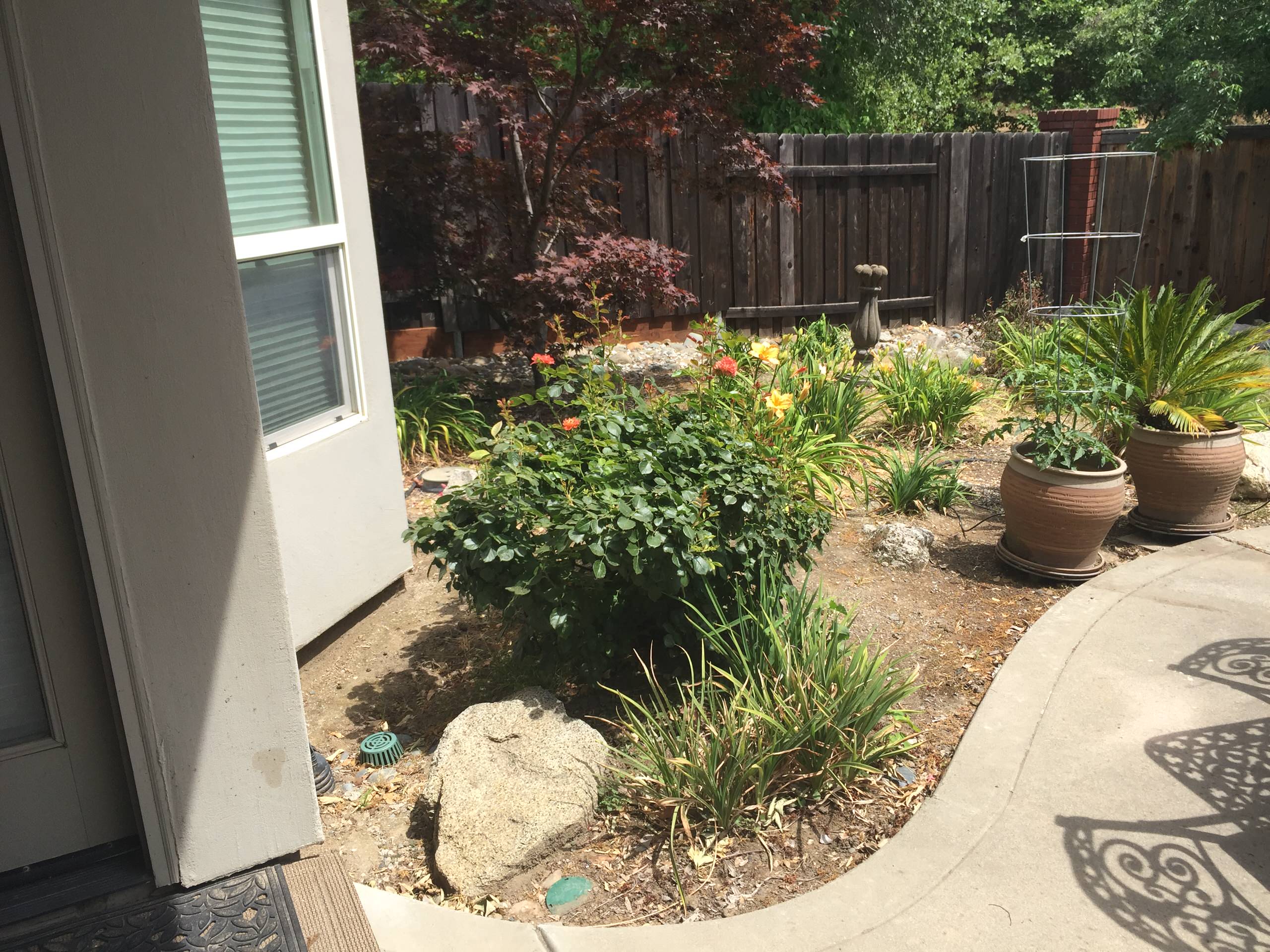 Folsom Backyard Remodel