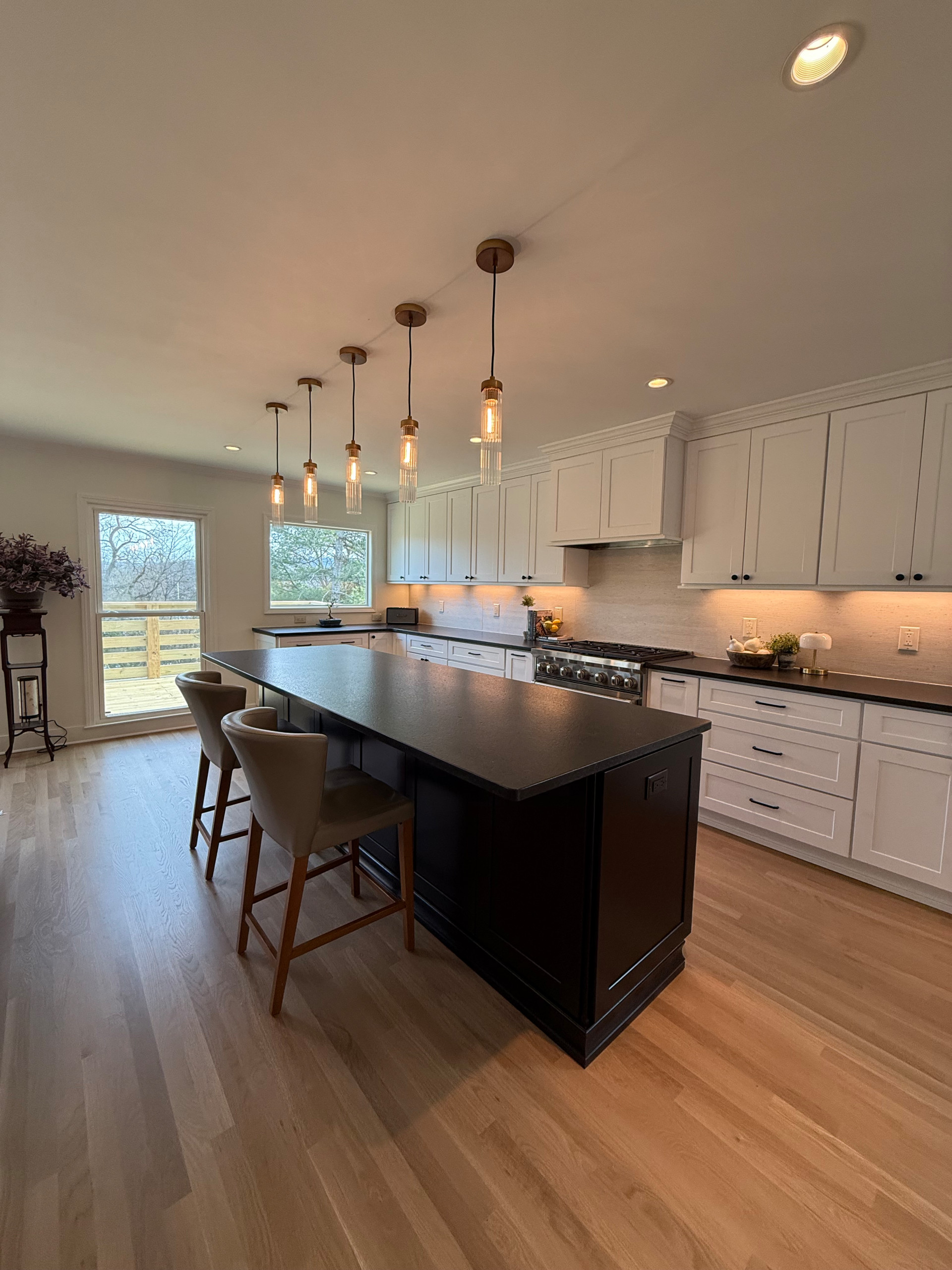 Franklin Complete Kitchen and LR Reno