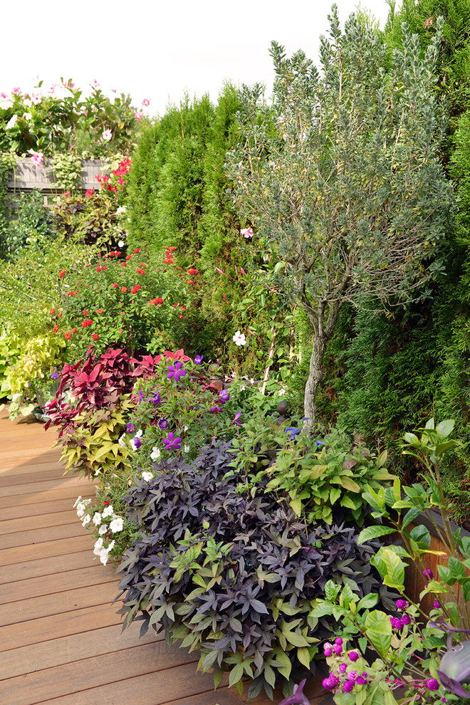 Mountain style deck photo in Boston