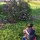 sproutsofspring