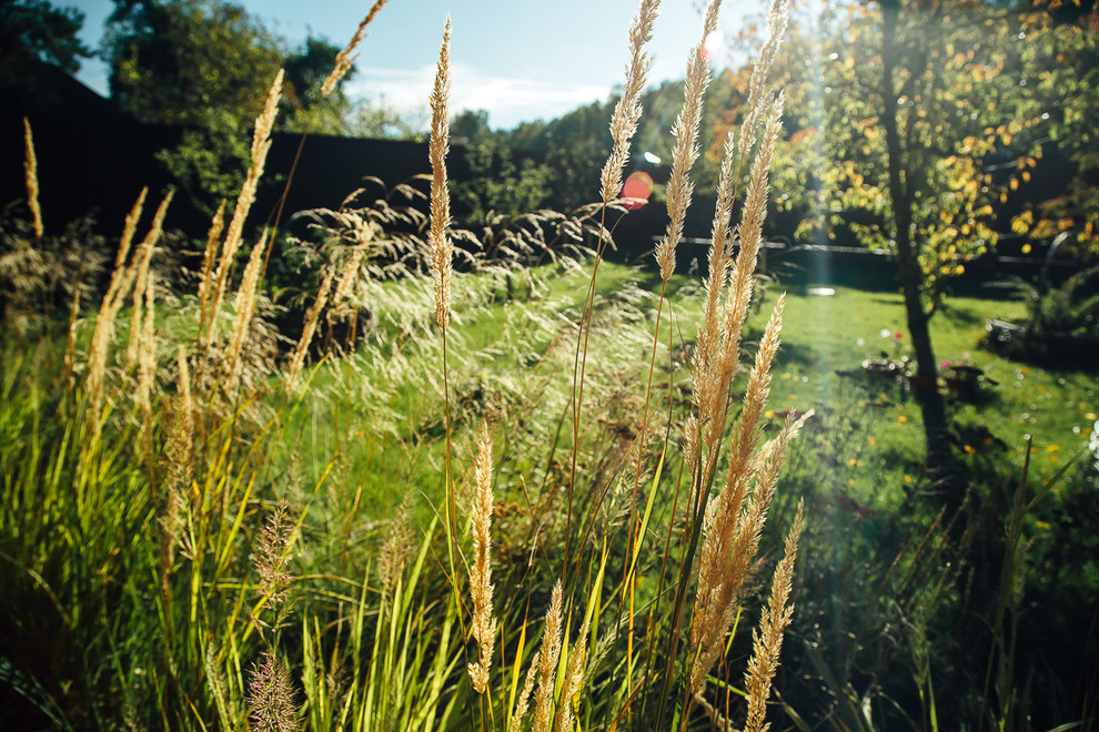 Русские Забавы