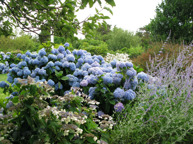 Snow Point farmhouse-garden