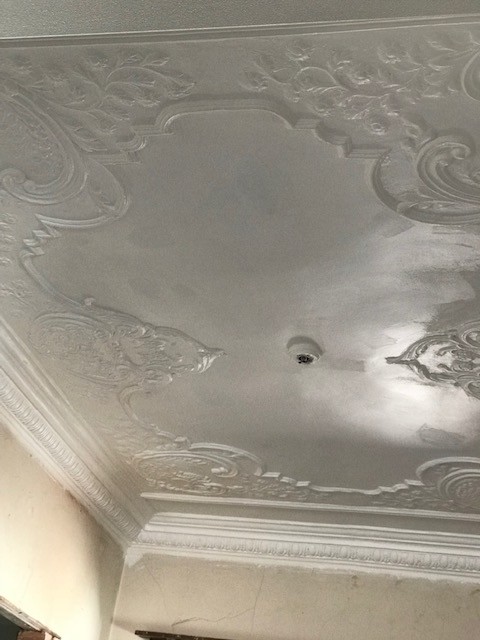 Ceiling Restoration