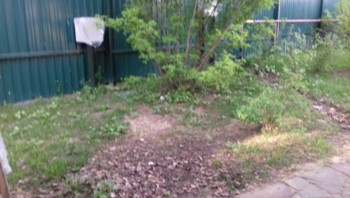 Дизайн сада в тени до работы ландшафтного дизайнера Федоровой Татьяны (Влами)