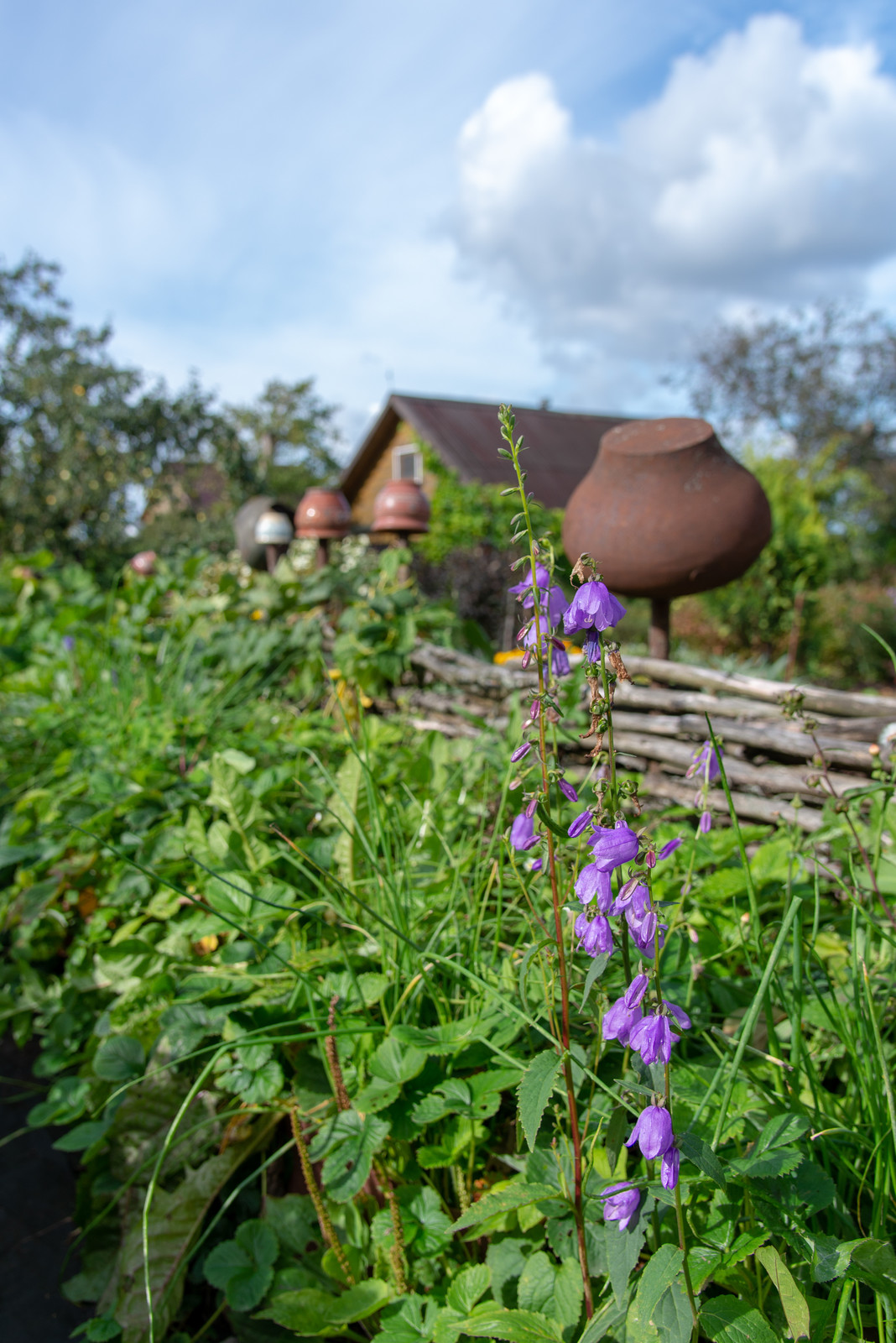Участок в Ломоносовском районе Ленобласти