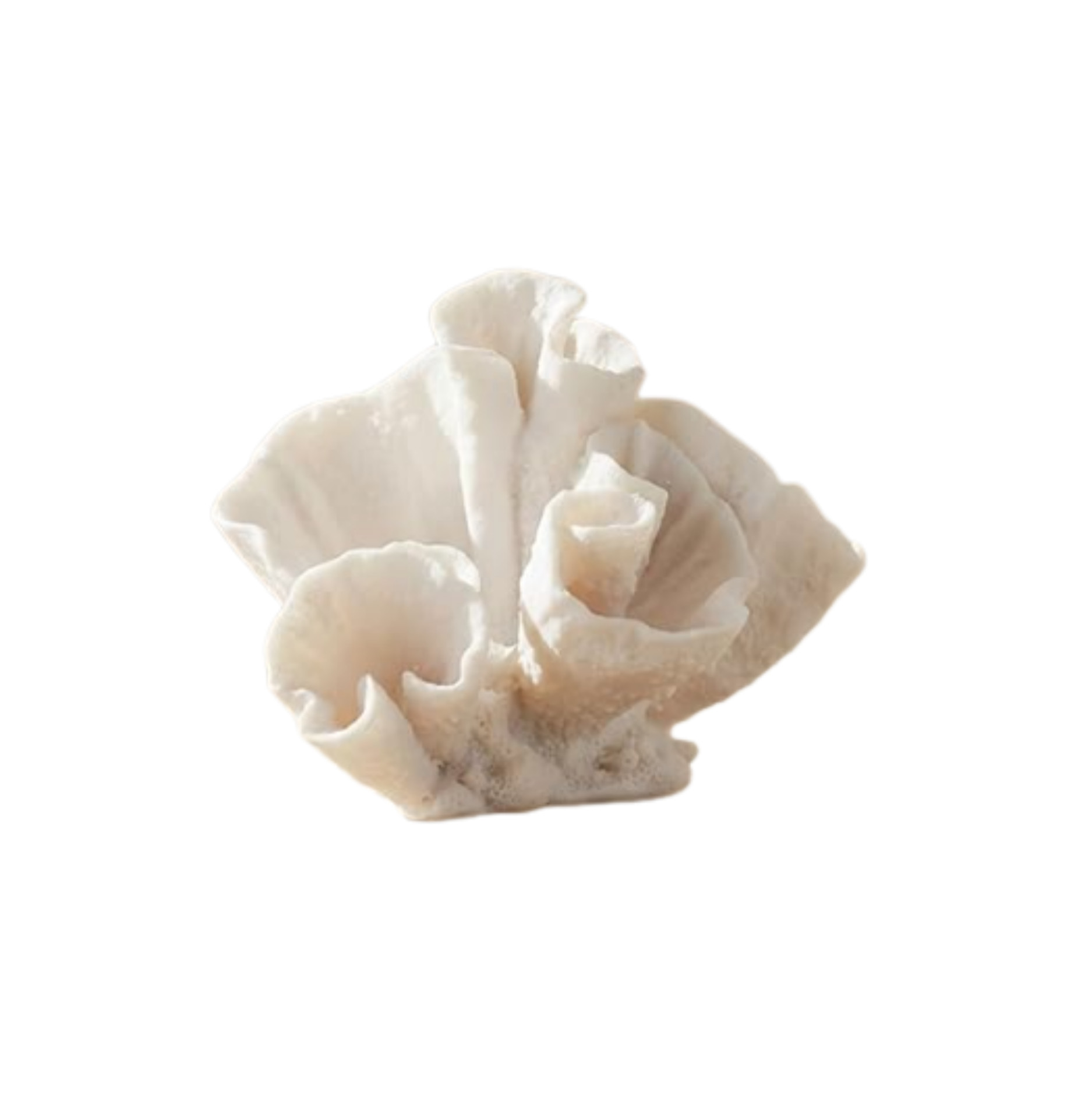 Retailer: The Home Depot | Decorative Coral Inspired Sculpture