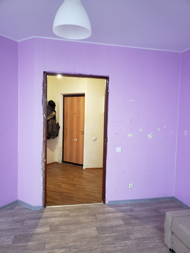 Квартира (проект 2020г.)