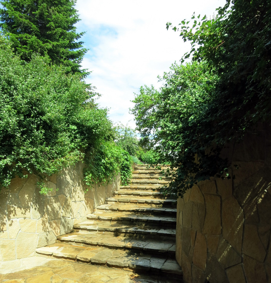 Сад с большими пихтами