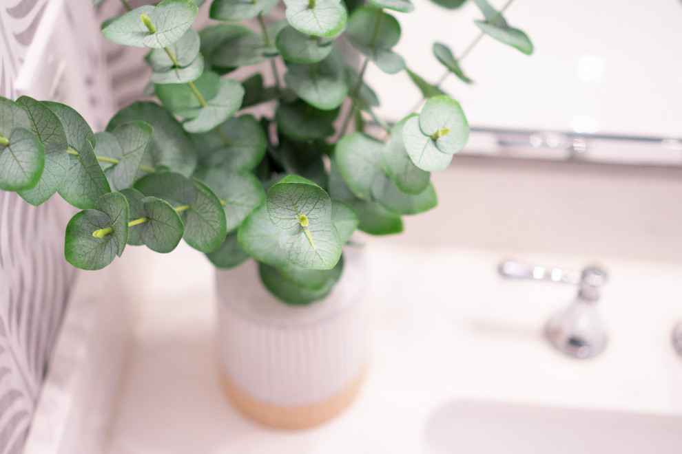 Yellowstone Road, Plymouth