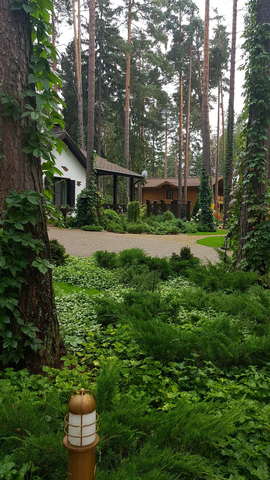 «Пряничный домик» в сосновом бору