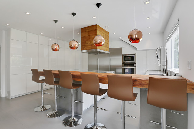 Campos contemporary-kitchen