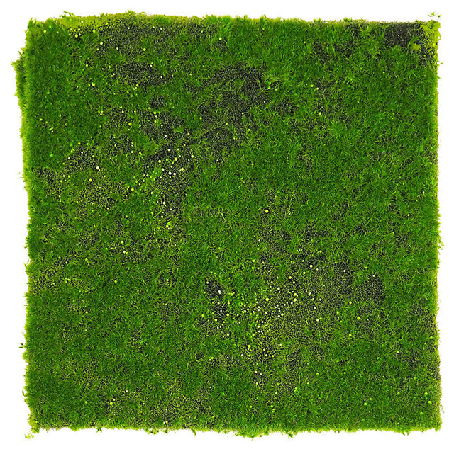 Artificial Moss Tile - Modern - Artificial Plants And Trees - by Le Present  | Houzz