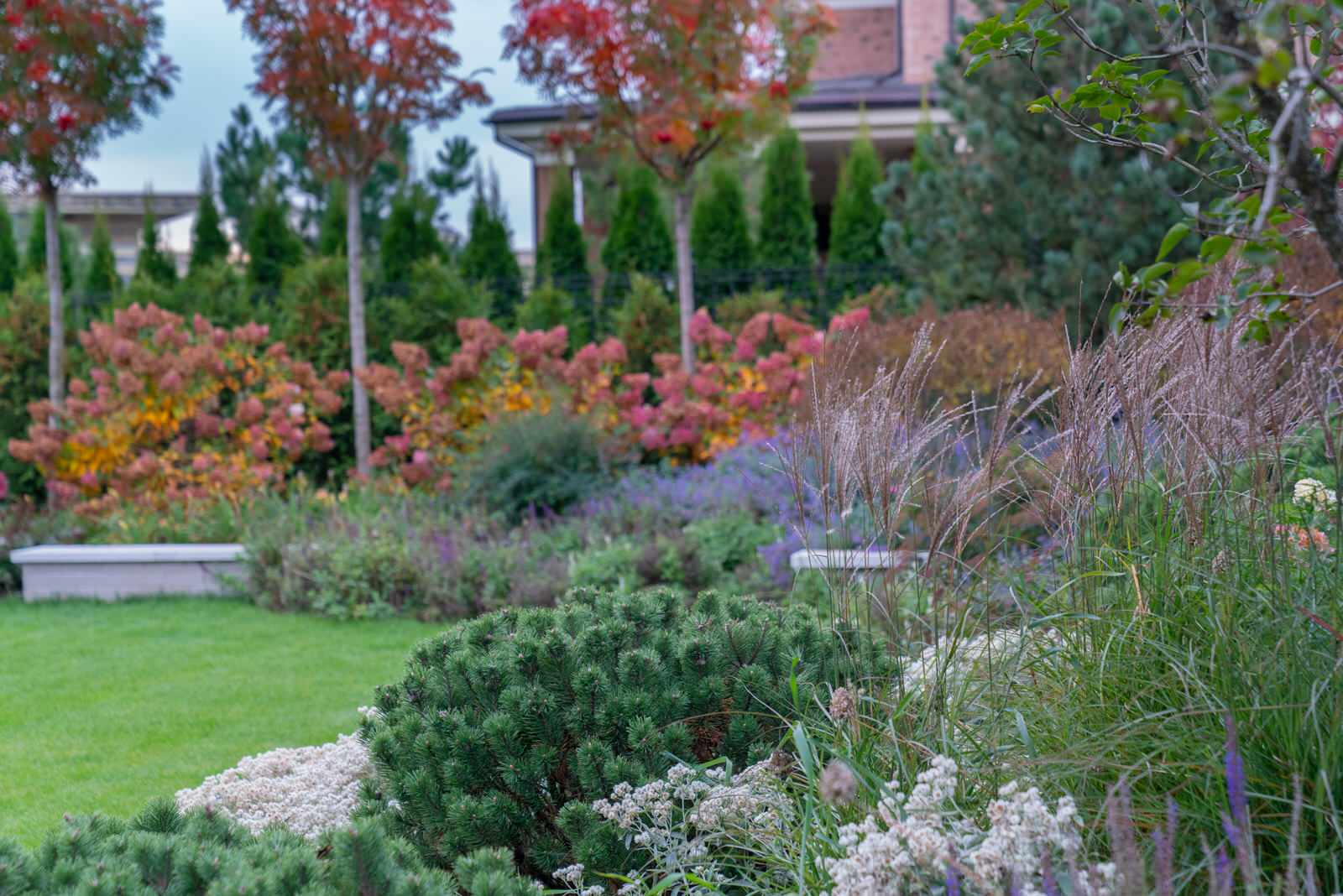 Игра контрастов. Миллениум Парк 2018 г.